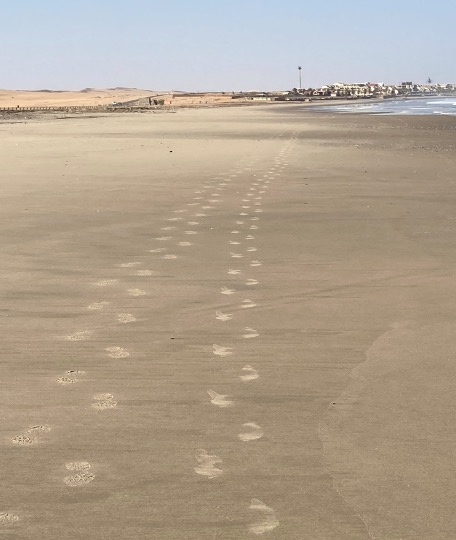 Footsteps on the Beach